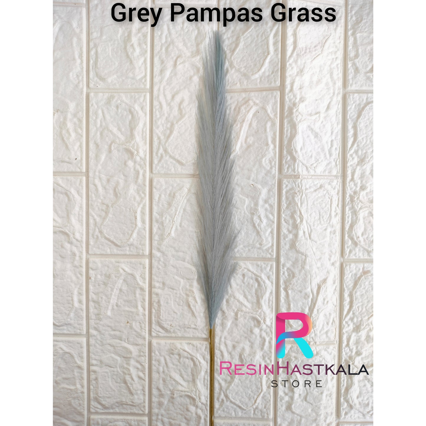 Gray Pampas Grass (1 Stick)