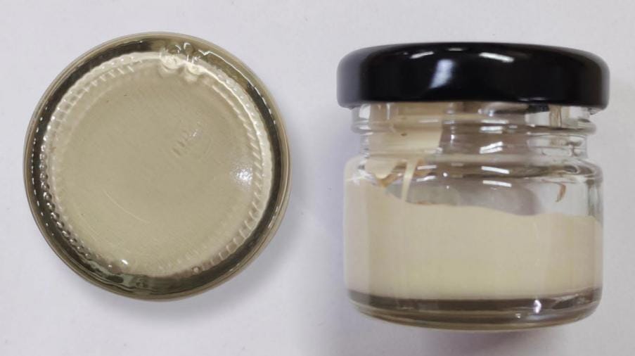 Ivory Opaque Resin Pigment (20 Gram)