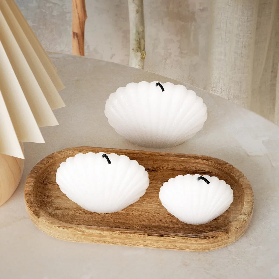 Medium Sea Pearl Shell Candle Mould & Tray for Resin and Terra