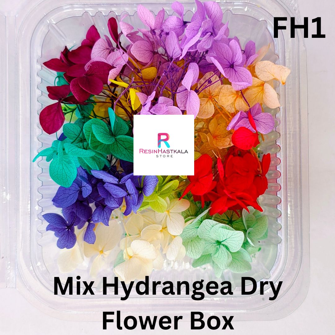 Mix Hydrangea Dry Flower Box
