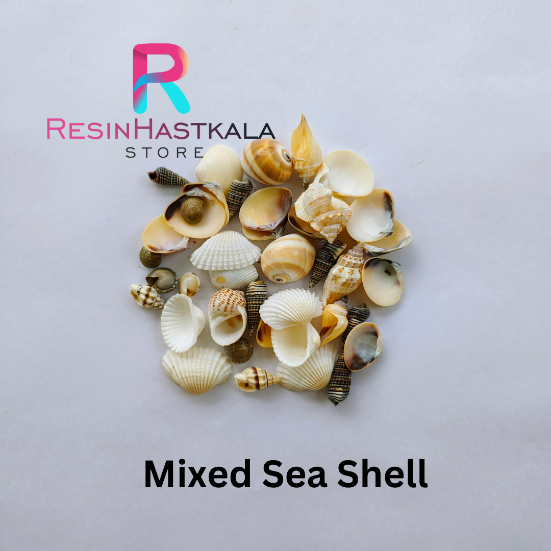 Mixed Sea Shell