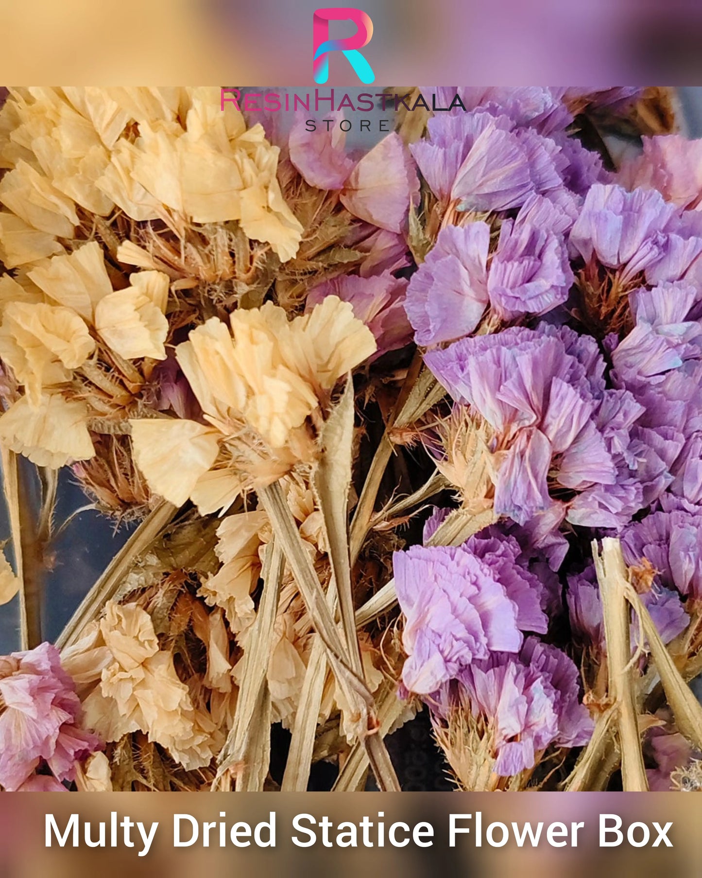 Multy Dried Statice Flower Box