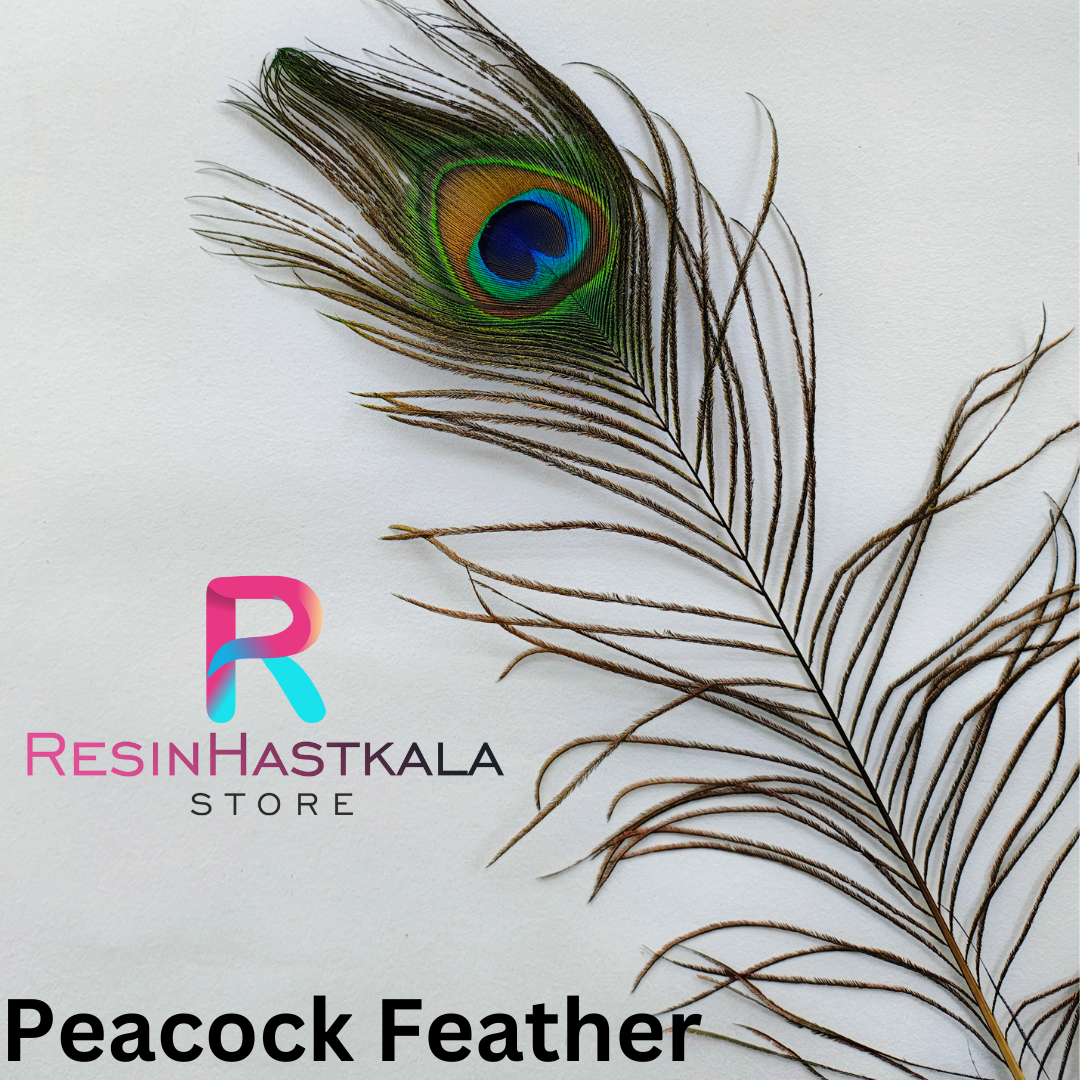 Peacock Feather (Size May Very)