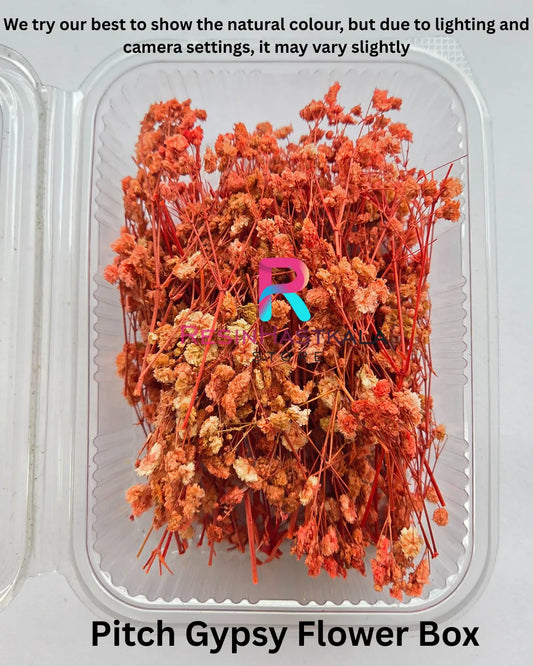 Pitch Gypsy Flower Box