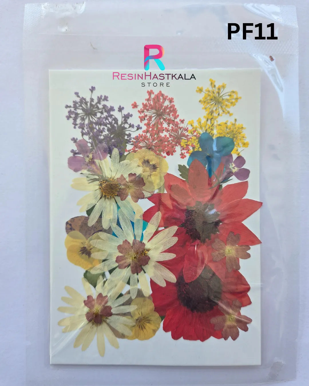Pressed Dry Flower Sheet – PF11