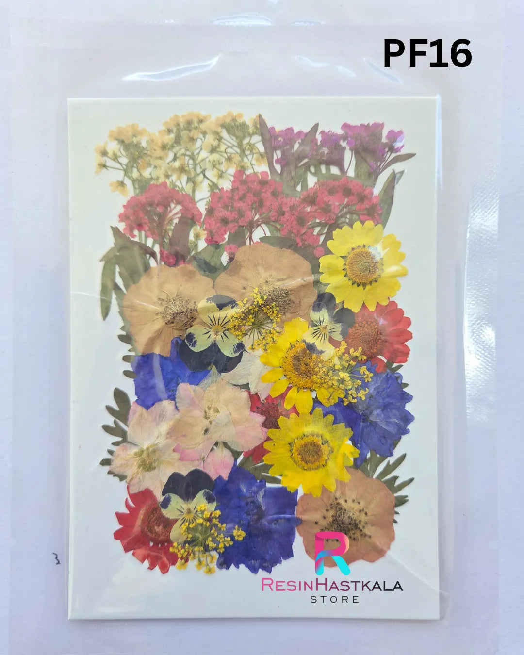 Pressed Dry Flower Sheet – PF16
