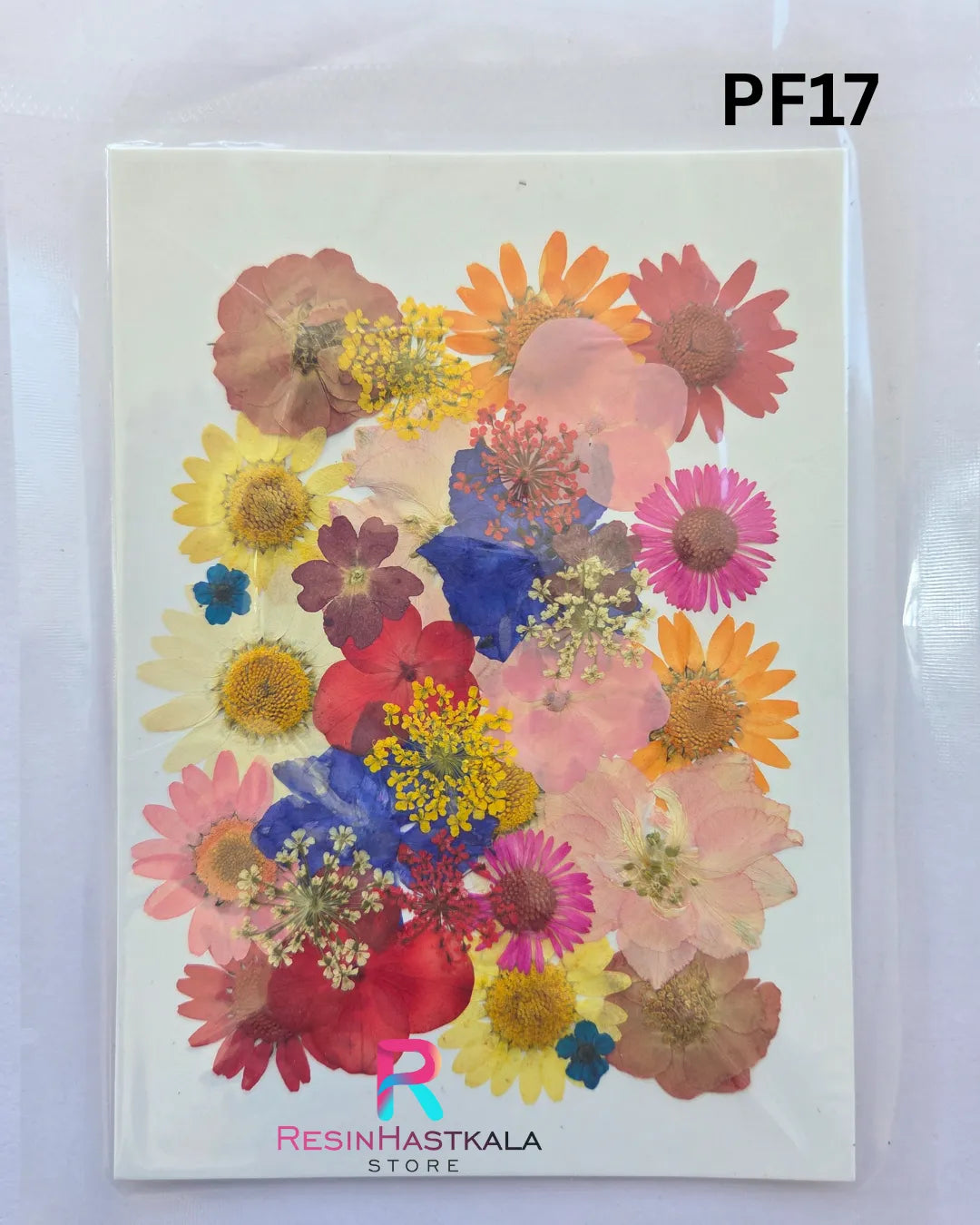 Pressed Dry Flower Sheet – PF17