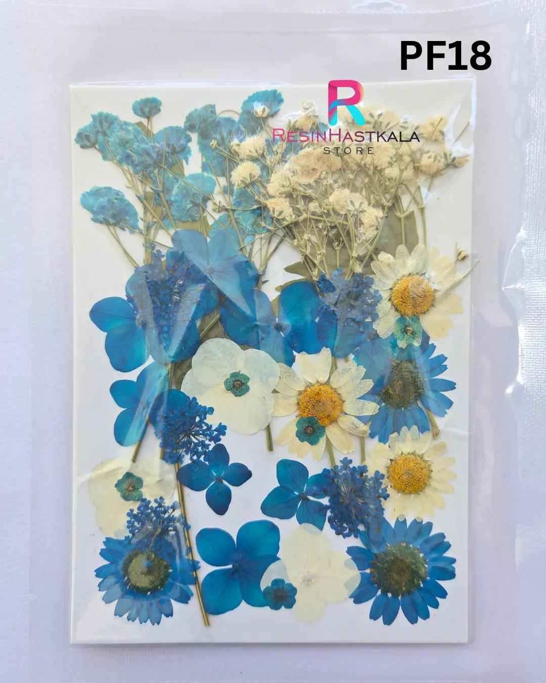 Pressed Dry Flower Sheet – PF18