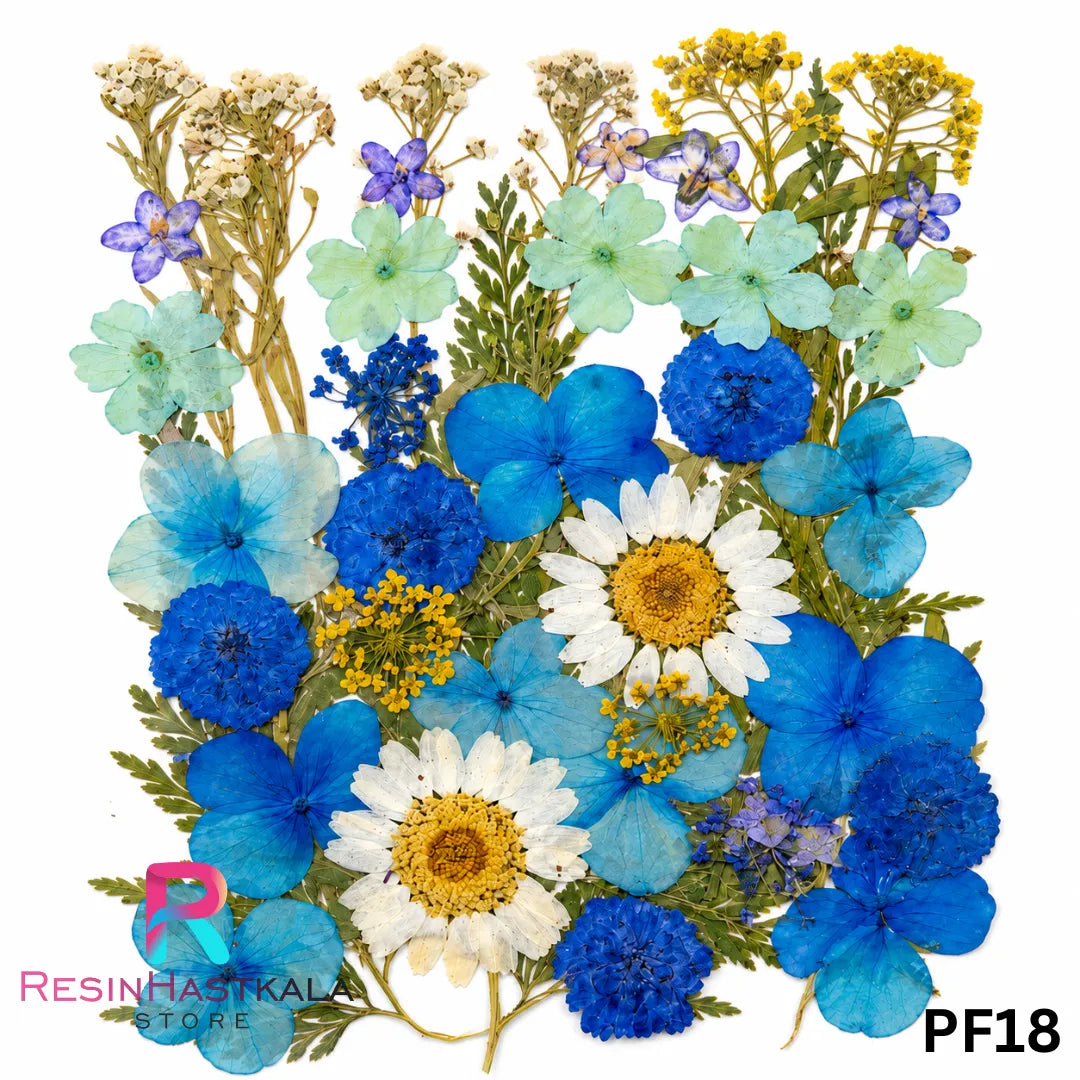Pressed Dry Flower Sheet – PF18