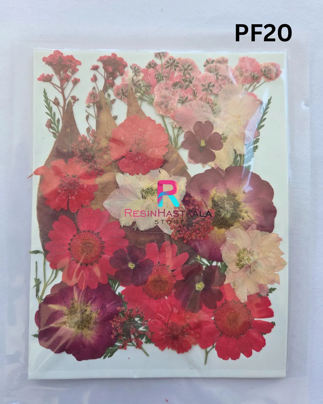Pressed Dry Flower Sheet – PF20