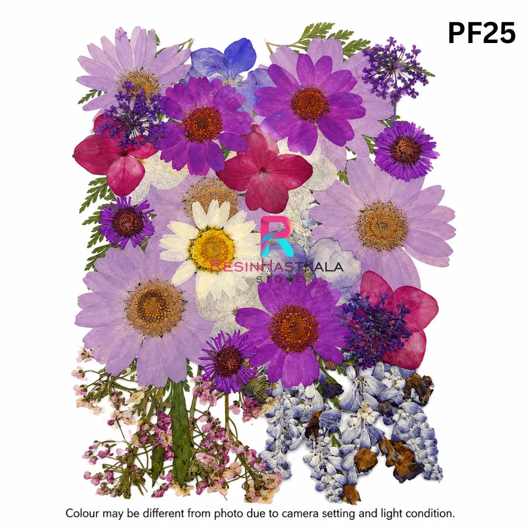 Pressed Dry Flower Sheet – PF25