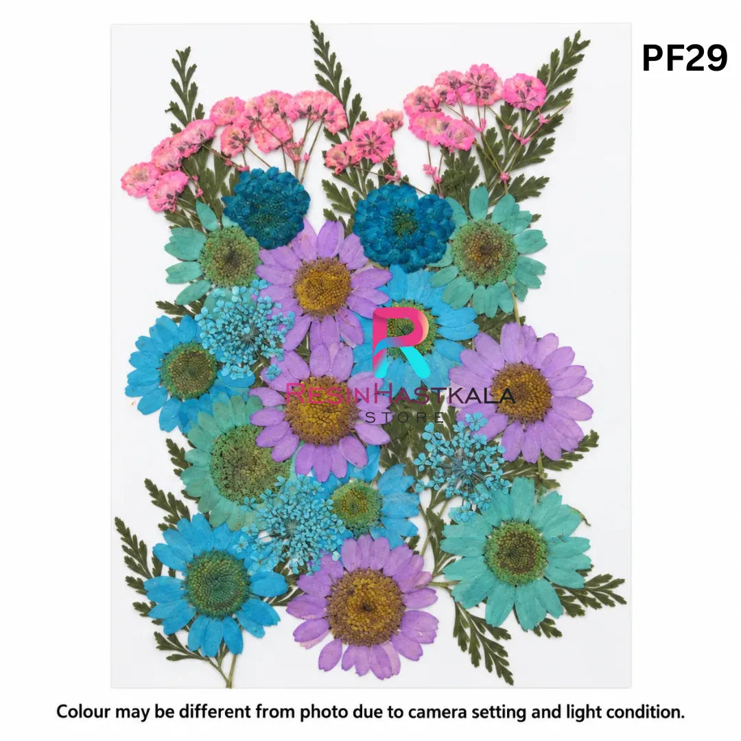 Pressed Dry Flower Sheet – PF29
