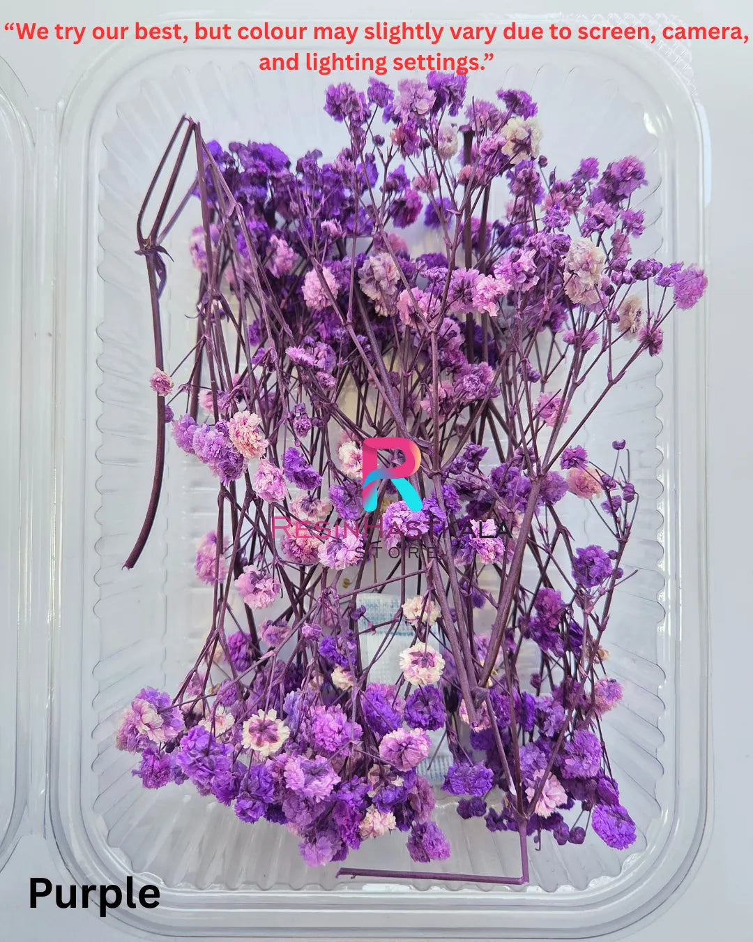 Purple Gypsy Dried Flower Box
