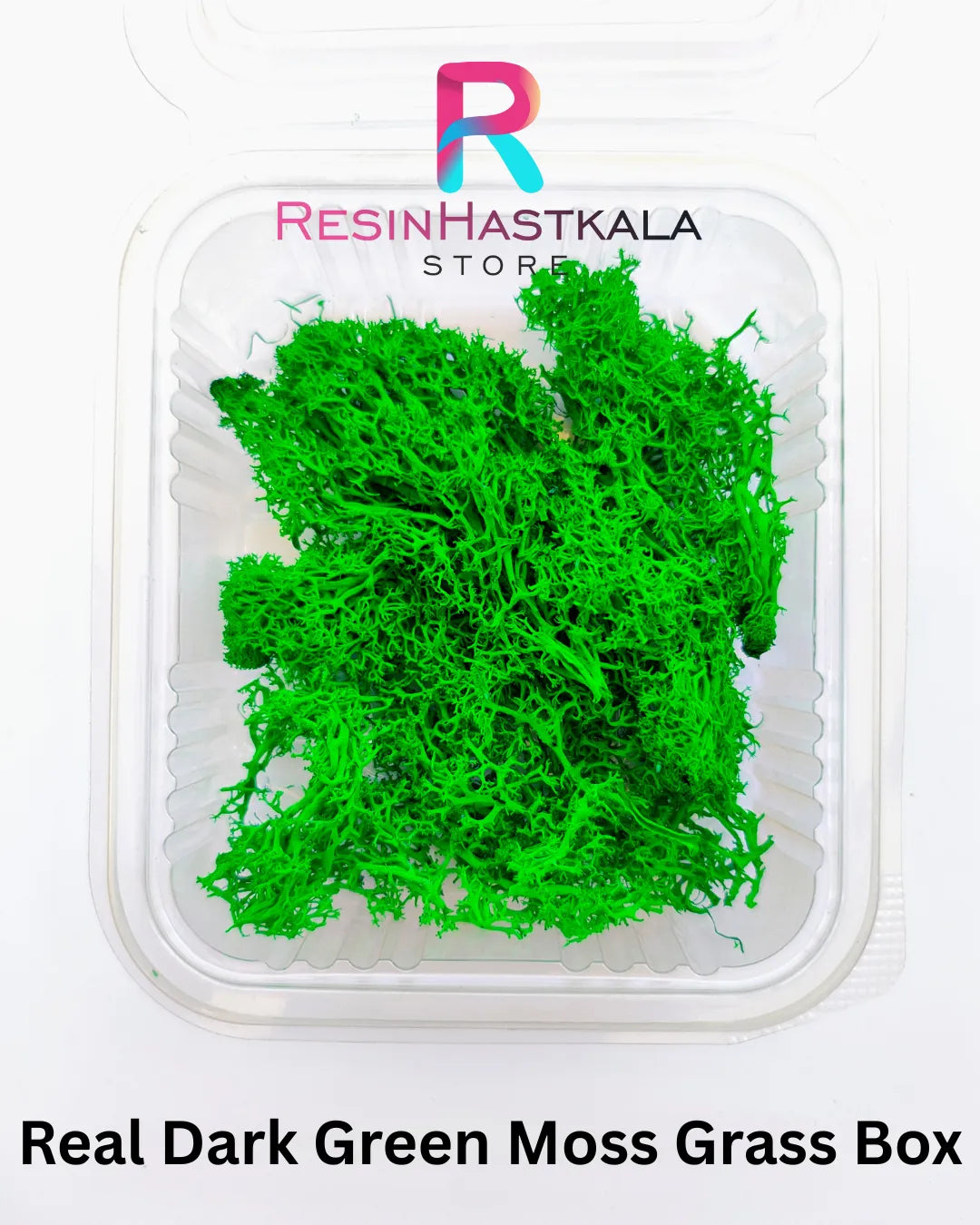 Real Dark Green Moss Grass Box