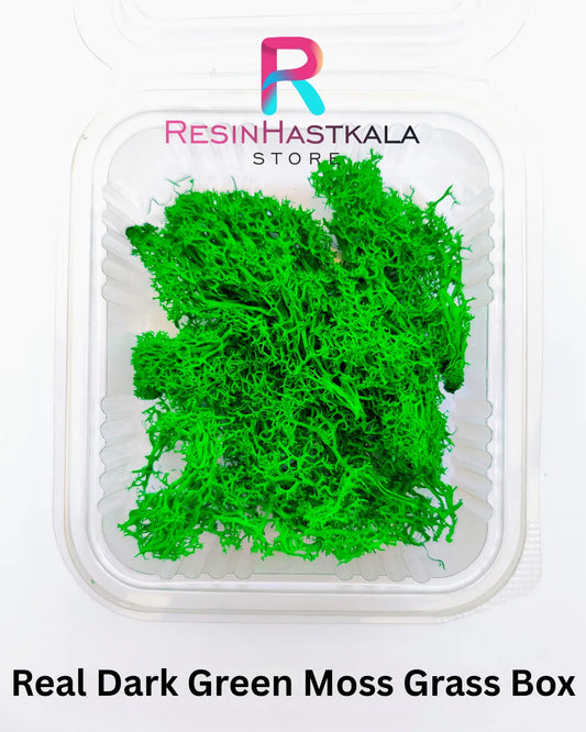 Real Dark Green Moss Grass Box