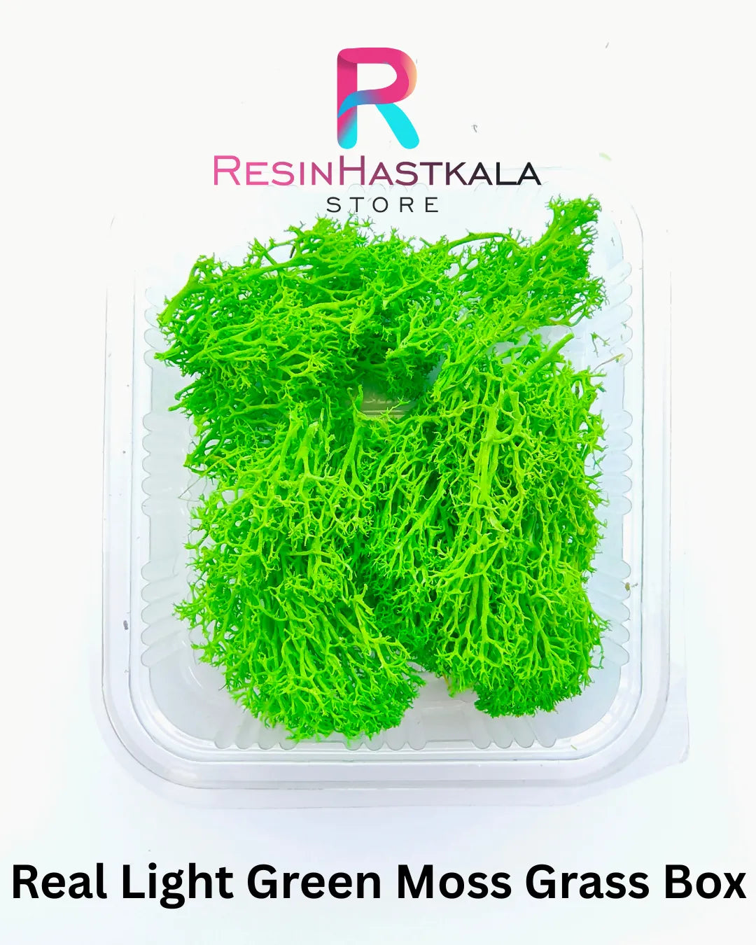 Real Light Green Moss Grass Box