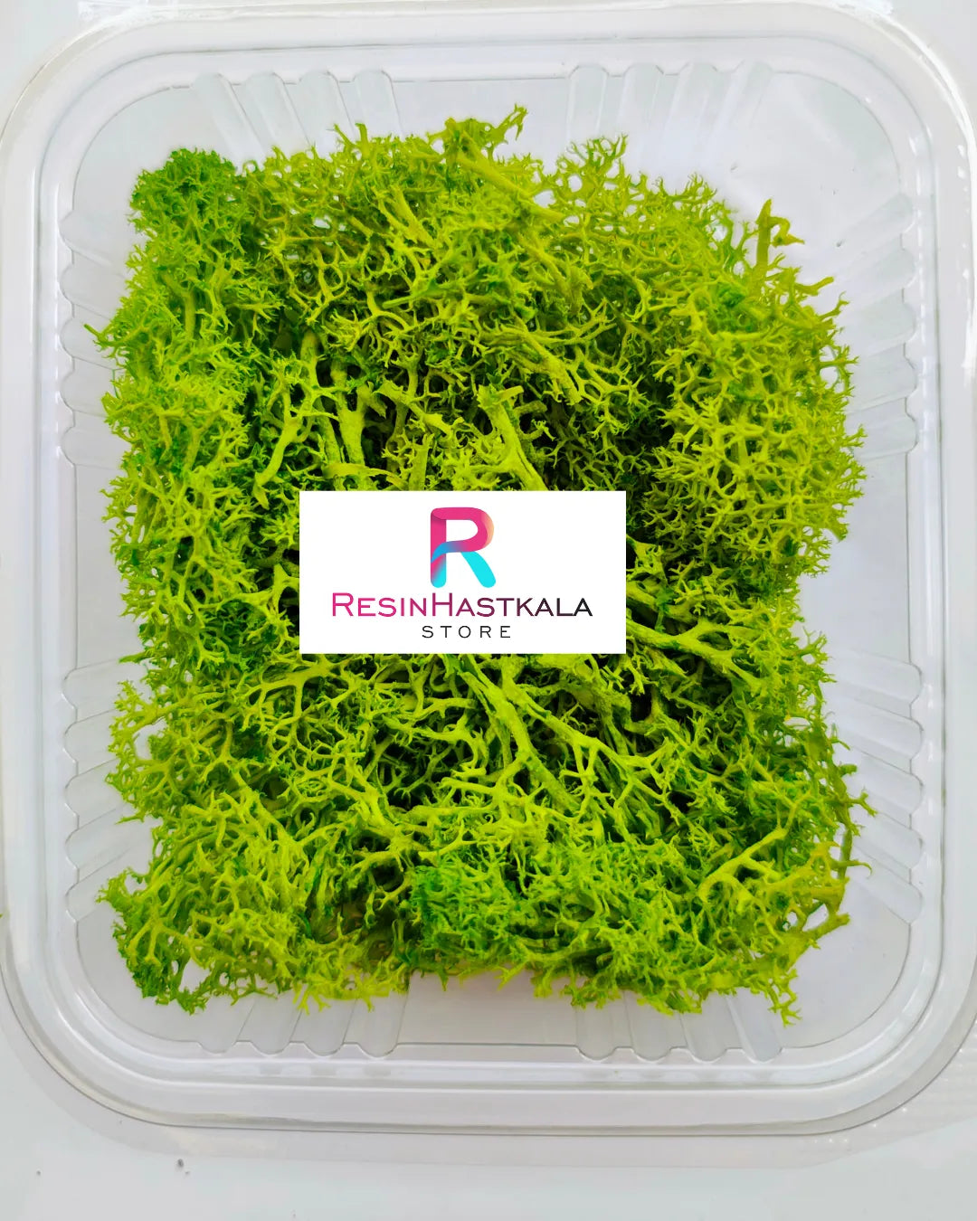 Real Olive Green Moss Grass