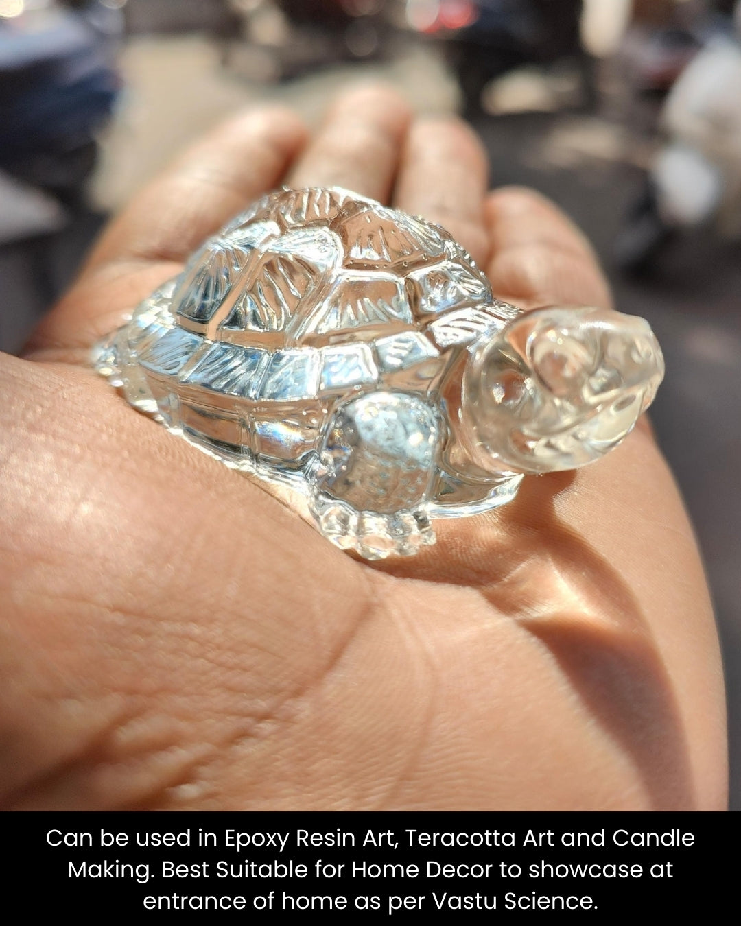 Small Turtle Mould