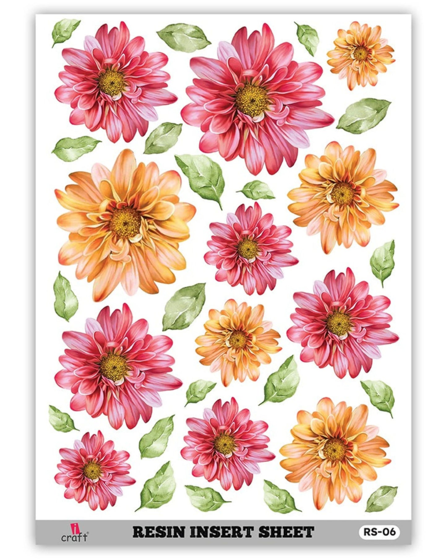 iCraft Resin Insert Sheet RS-06