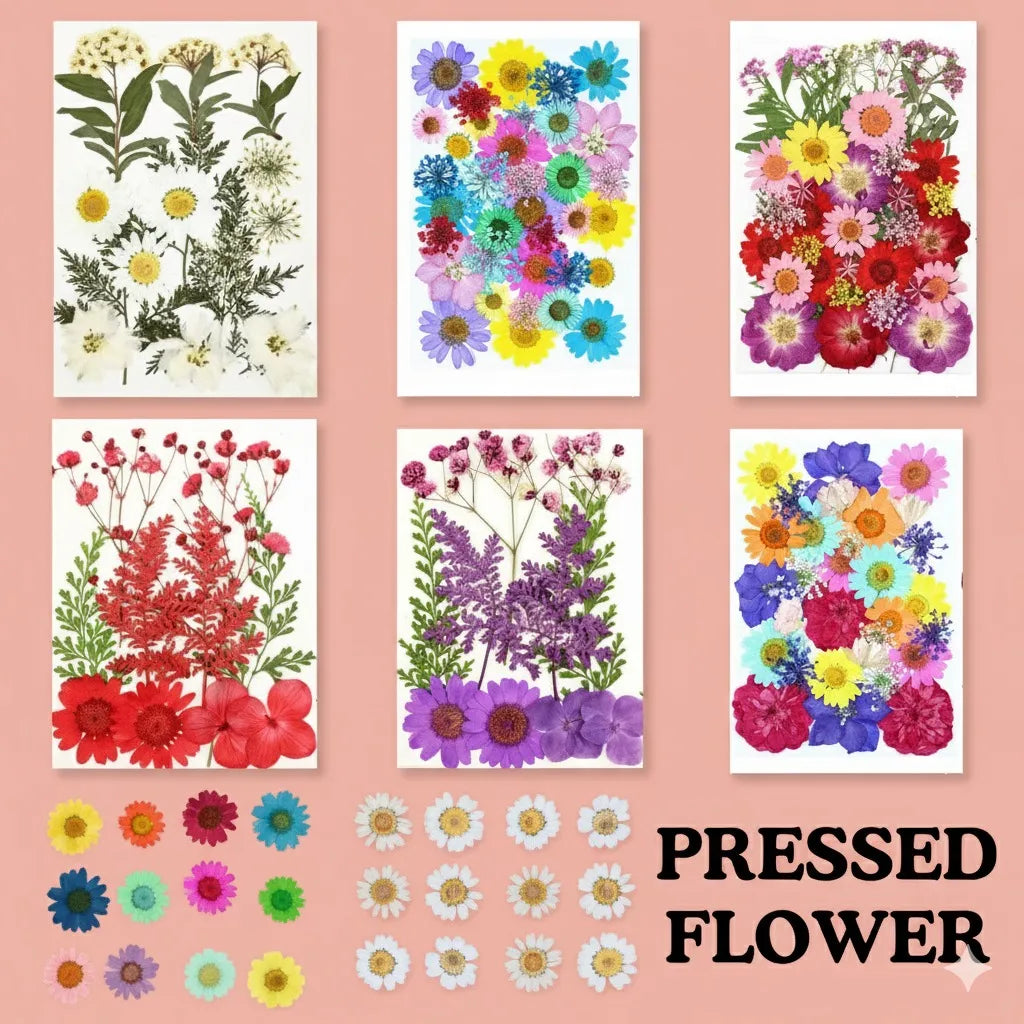 Pressed Flower