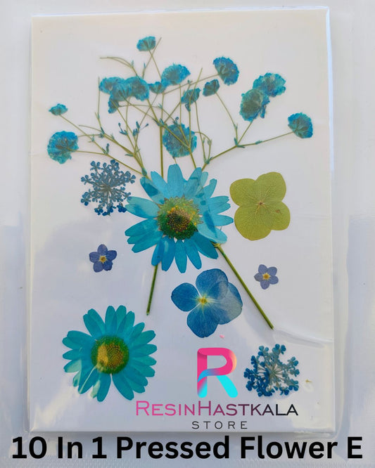 10 In 1 Pressed Flower E