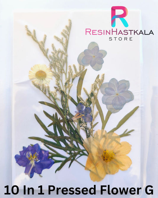 10 In 1 Pressed Flower G