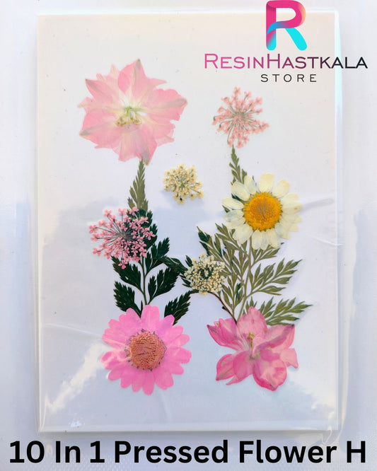 10 In 1 Pressed Flower H