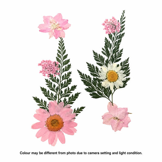 10 In 1 Pressed Flower H