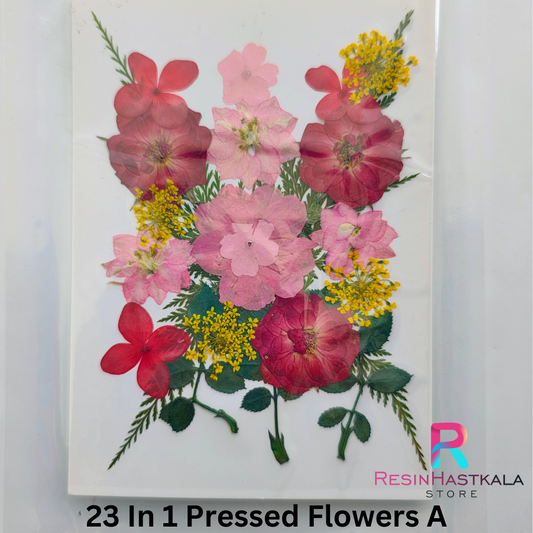 23 In 1 Pressed Flowers A