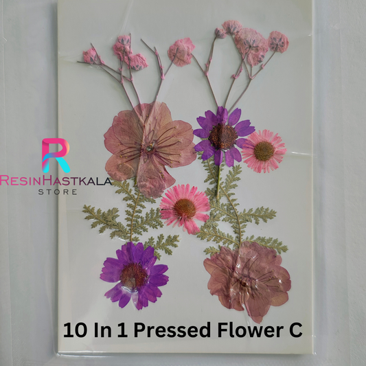 10 In 1 Pressed Flower C