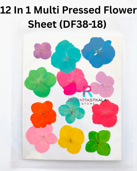 12 In 1 Multi Pressed Flower Sheet (DF38-18)