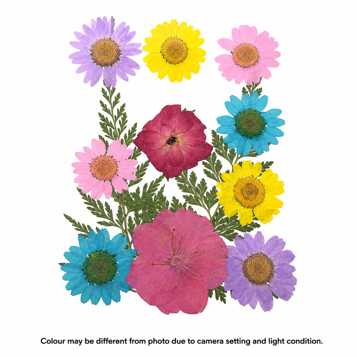 12 In 1 Pressed Flower A