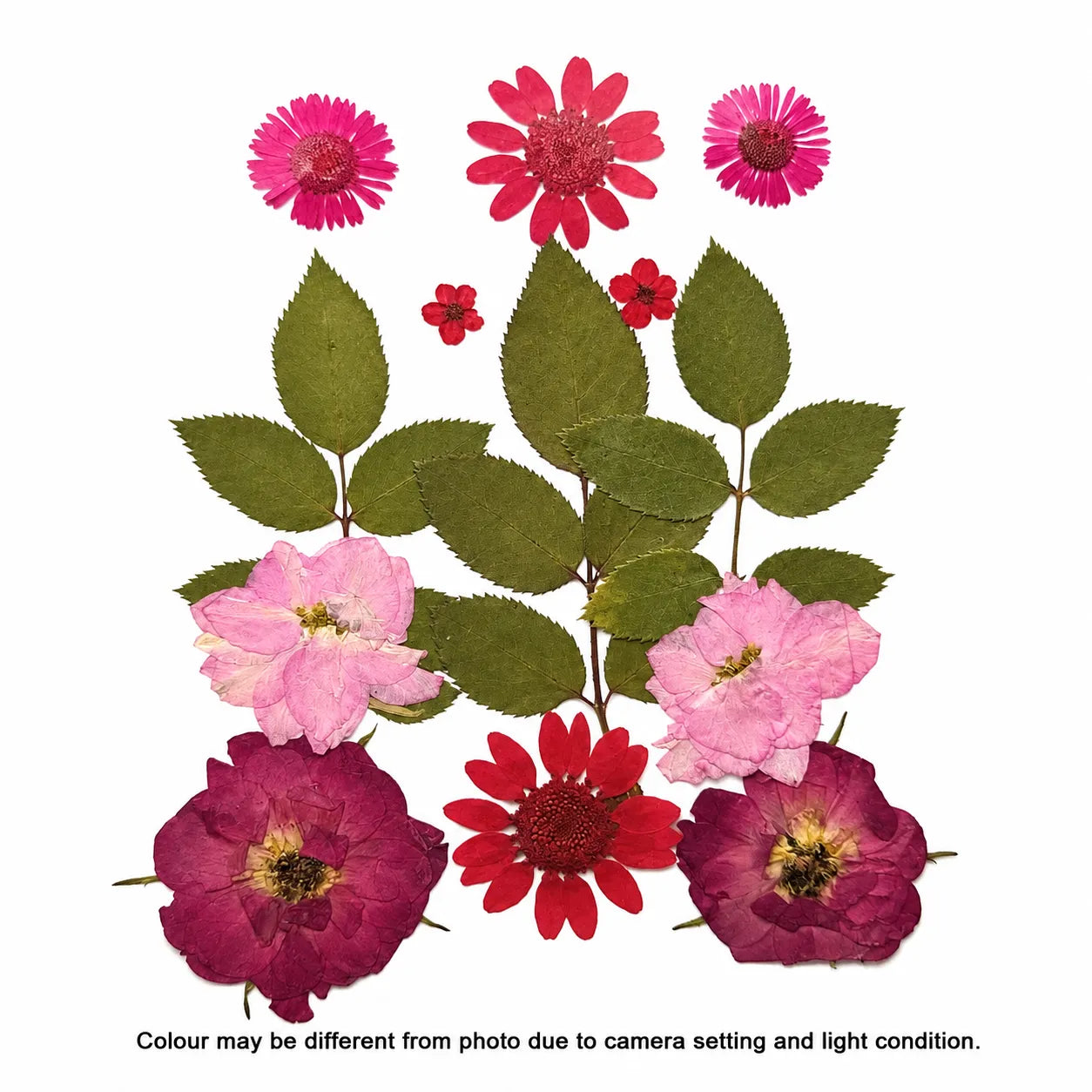 13 In 1 Pressed Flower