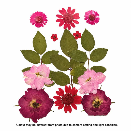 13 In 1 Pressed Flower