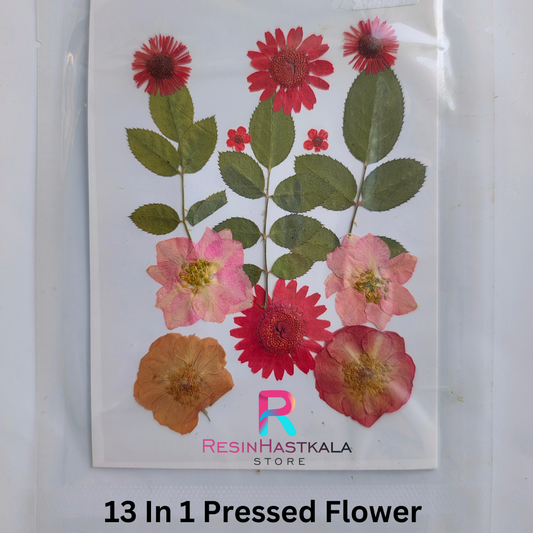 13 In 1 Pressed Flower