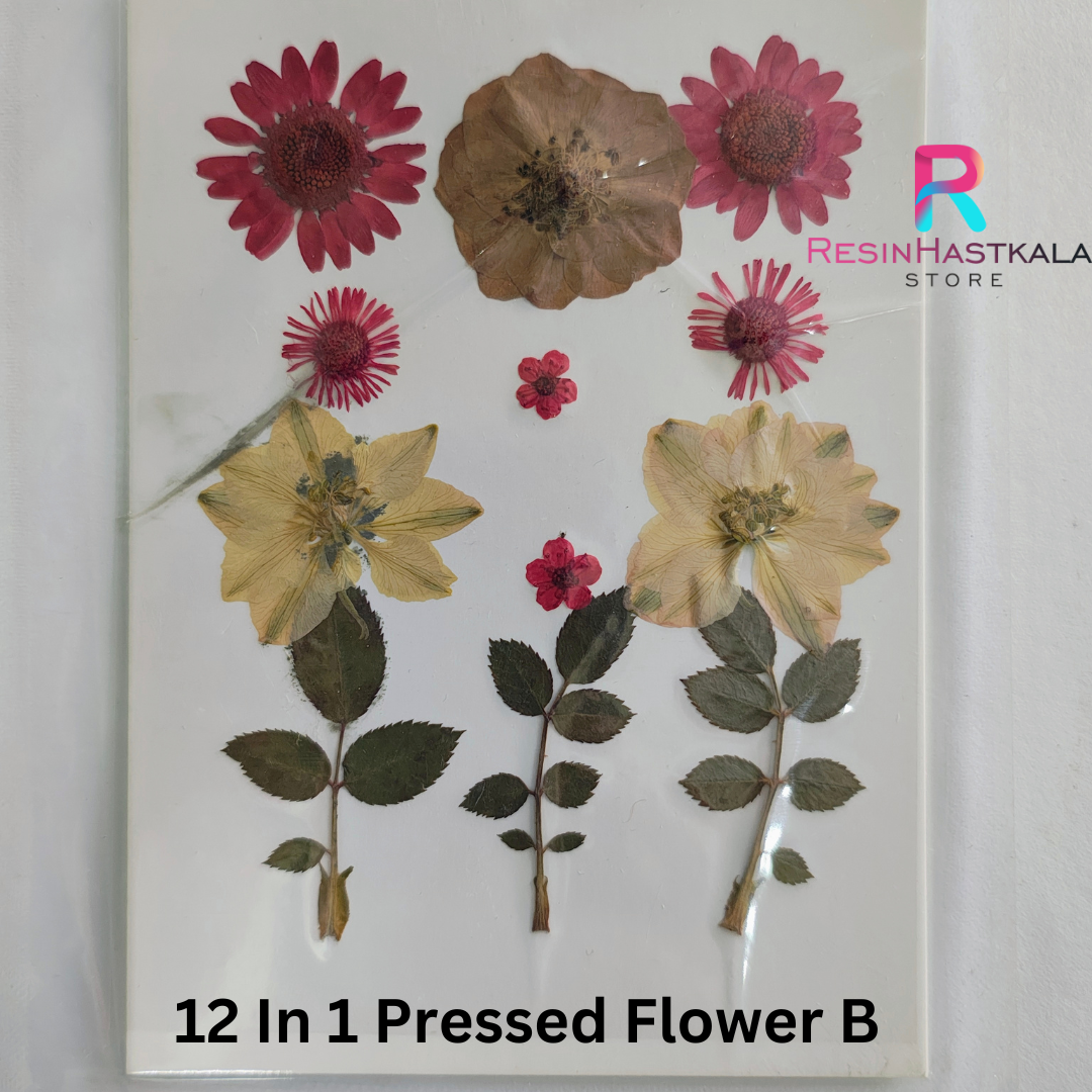 12 In 1 Pressed Flower B