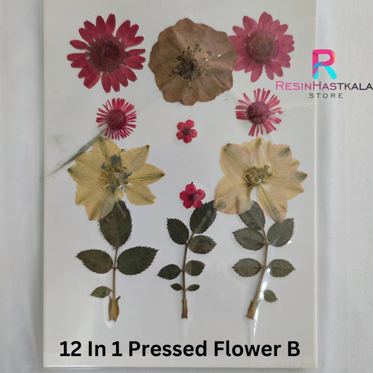 12 In 1 Pressed Flower B