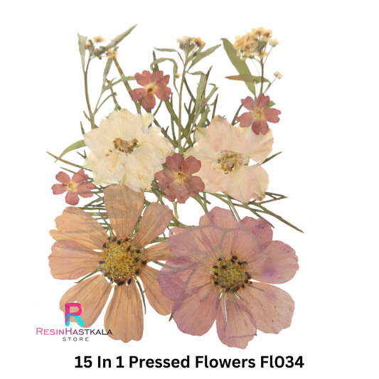 15 In 1 Pressed Flowers Fl034