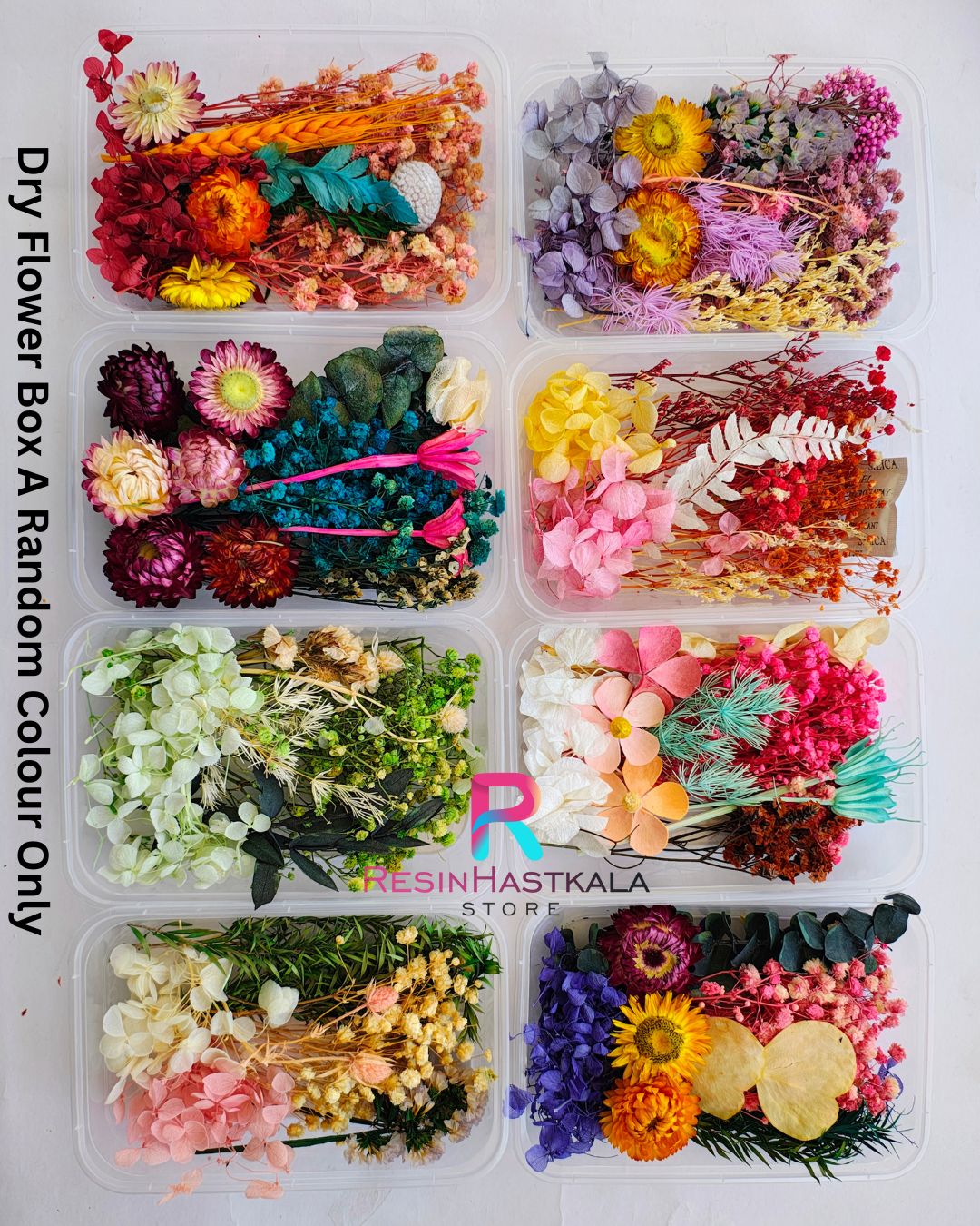 Dry Flower Box A Random Colour Only
