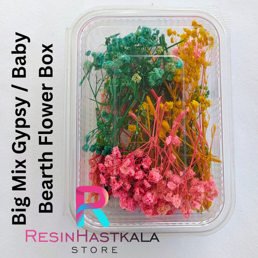 Big Mix Gypsy / Baby Bearth Flower Box