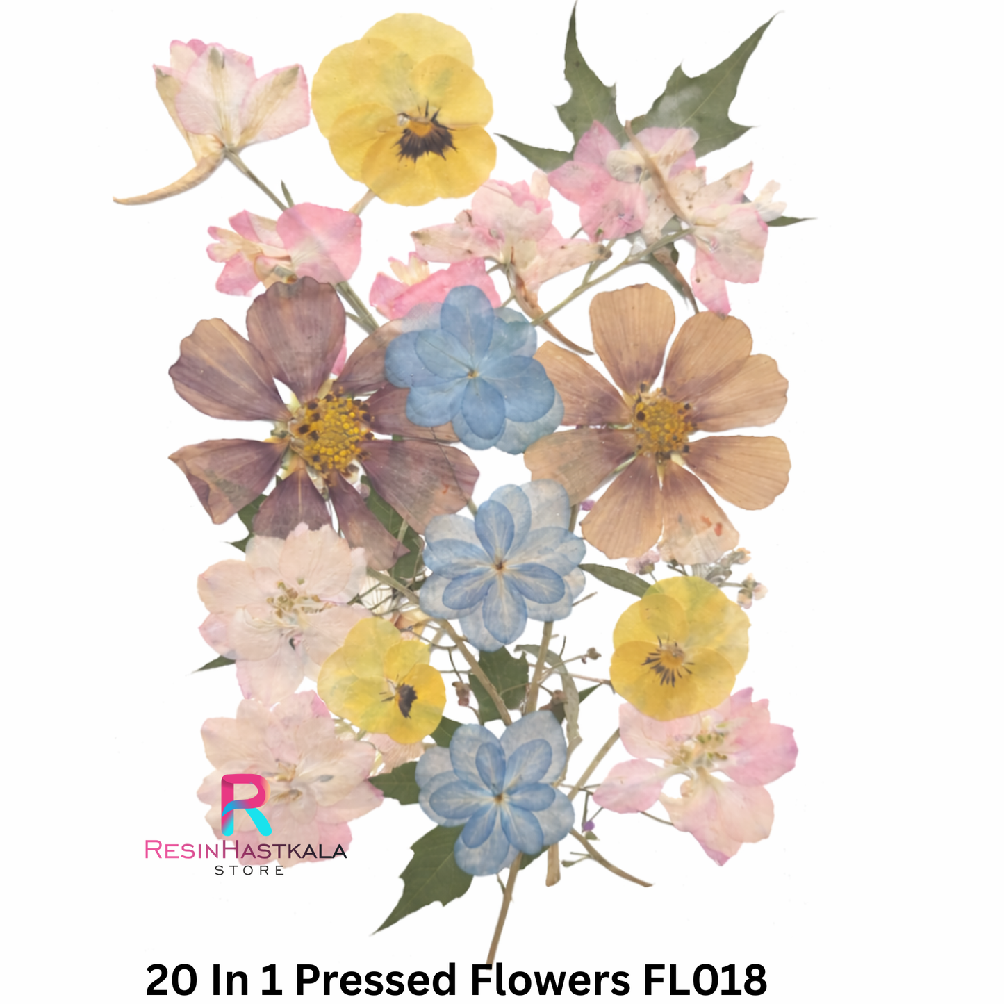 20 In 1 Pressed Flowers FL018