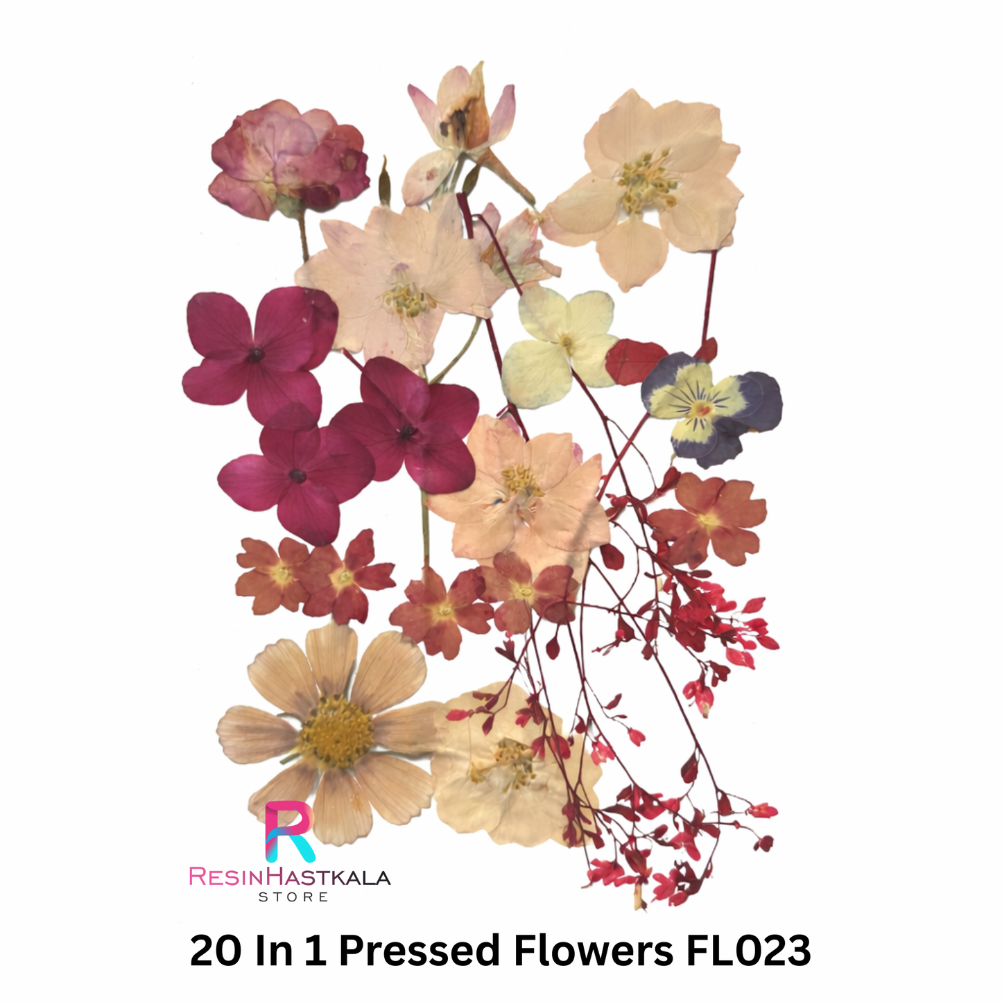 20 In 1 Pressed Flowers FL023