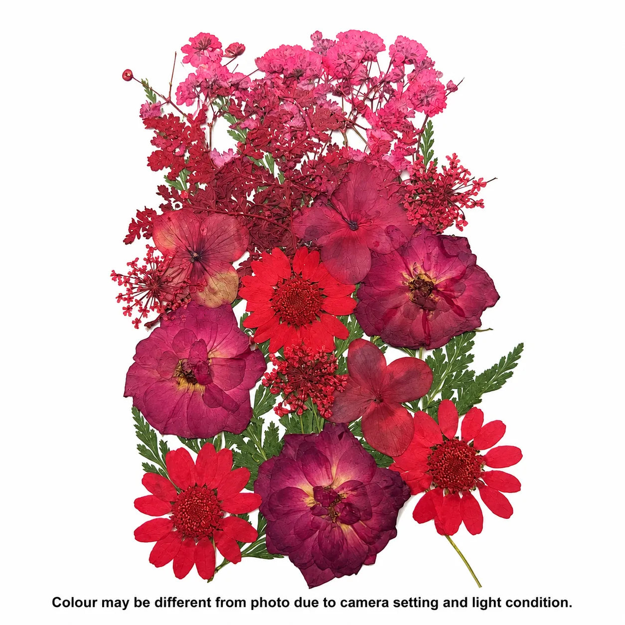 21 In 1 Pressed Flower B