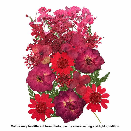 21 In 1 Pressed Flower B