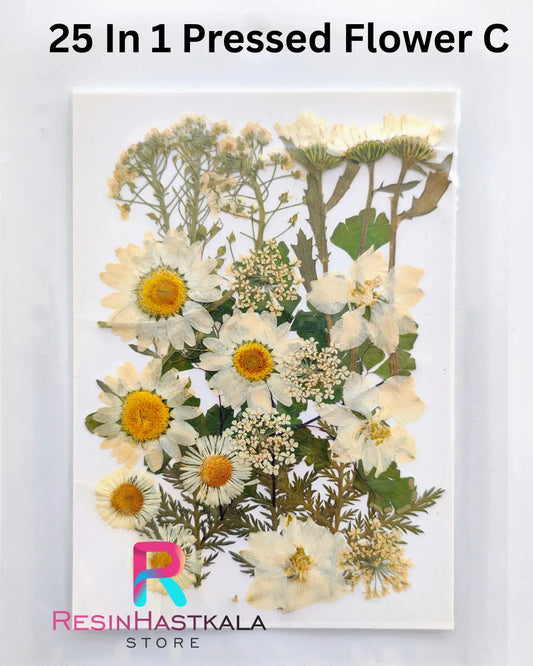 25 In 1 Pressed Flower C
