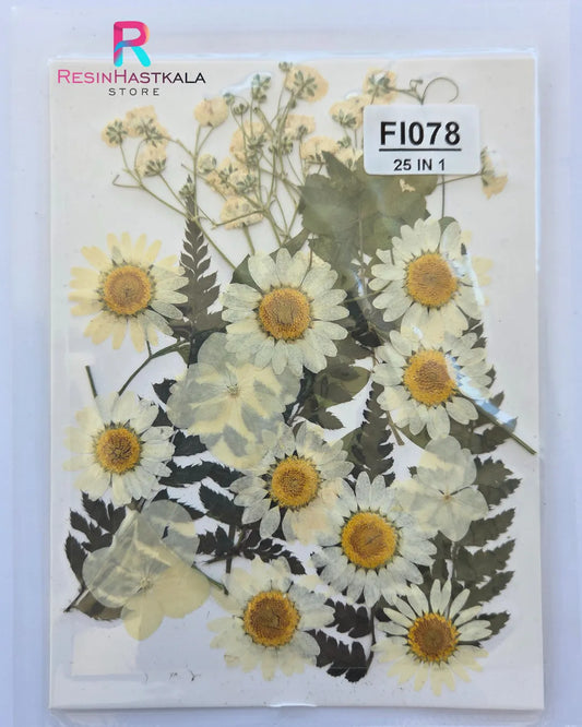 25 In 1 Pressed Flower C