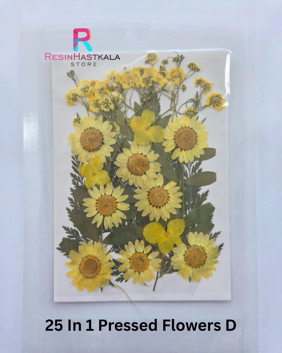 25 In 1 Pressed Flowers D