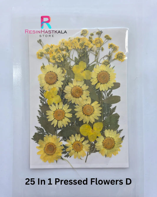 25 In 1 Pressed Flowers D