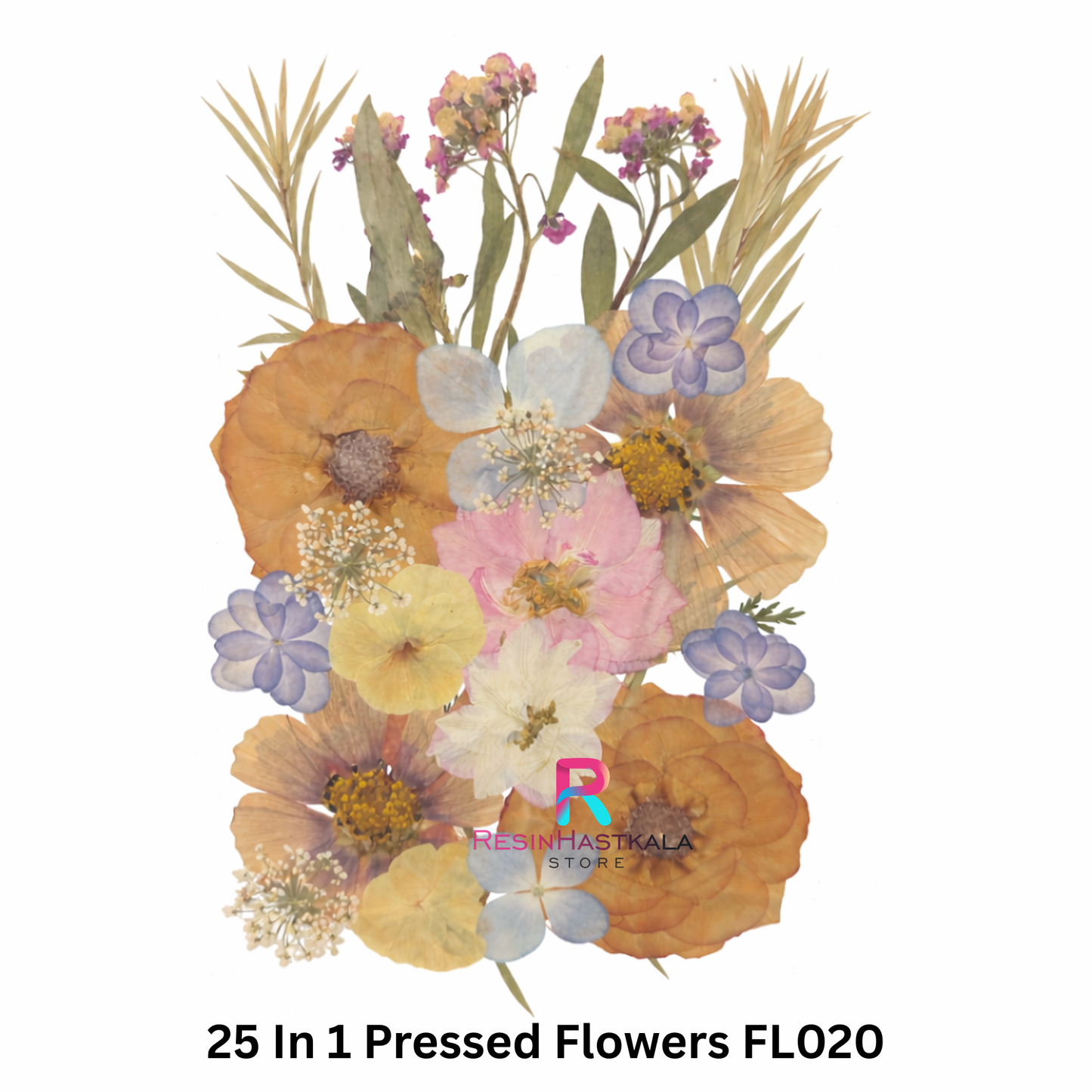 25 In 1 Pressed Flowers FL020