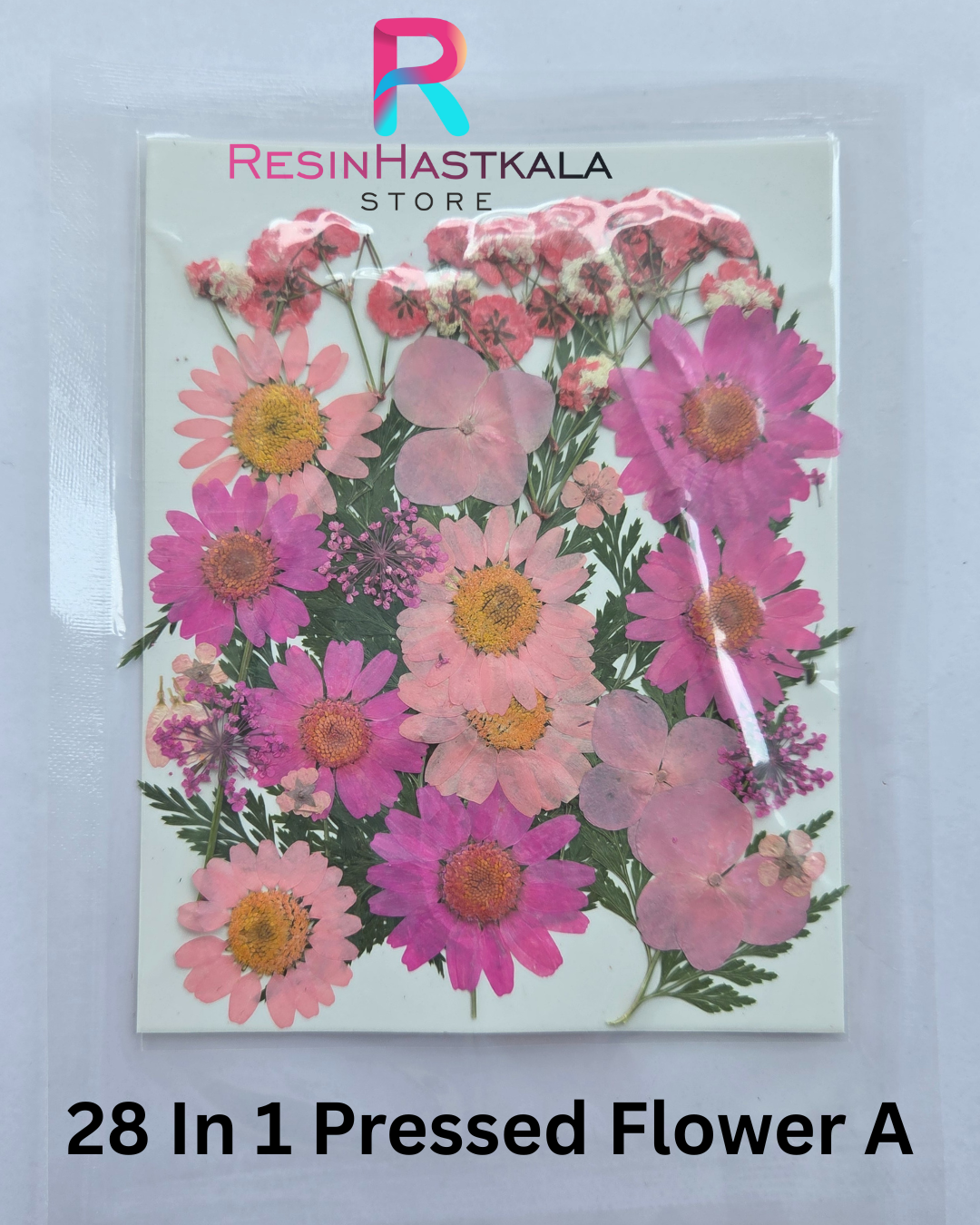 28 In 1 Pressed Flower A